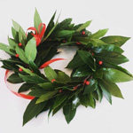 Coroncina di alloro per laurea